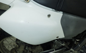 HONDA XR250 BAJA 2010 MD30