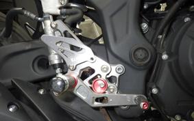 YAMAHA MT-25 2017 RG10J