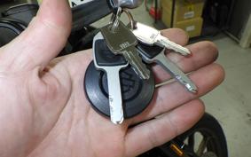 HARLEY FXLRS1920 2024