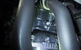 KAWASAKI NINJA 1000SX 2024 ZXT02K