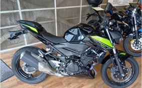 KAWASAKI Z250 EX250P