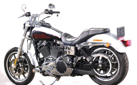HARLEY FXDL 2014 GN4