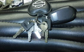 HARLEY XL1200XS 2018