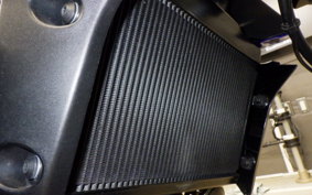 YAMAHA MT-07 1990 RM33J
