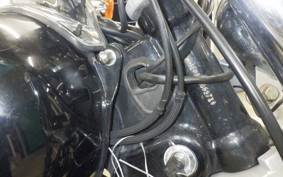 HARLEY FXDL 1580 2010