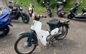 HONDA SUPER CUB50 C50
