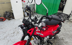 HONDA CT125 HUNTER CUB JA65