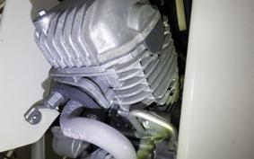 HONDA C110 SUPER CUB JA42