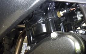 KAWASAKI NINJA 250 EX250P