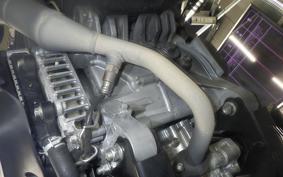 YAMAHA X FORCE SG79J