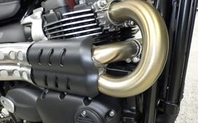 TRIUMPH SCRAMBLER 900 2026