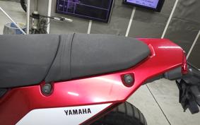 YAMAHA TENERE 700 2020 DM09J