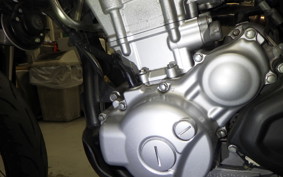 YAMAHA WR250X 2013 DG15J