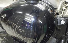 HARLEY FXLRS1920 2024