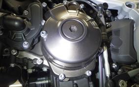 YAMAHA XSR900 GP 2024 RN96J
