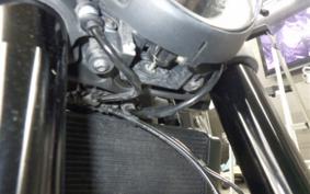 DUCATI MONSTER 937 + 2021