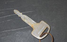 HONDA GIORCUB 2010 AF53