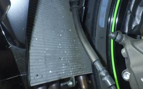 KAWASAKI NINJA ZX-6R A 2024 ZX636J