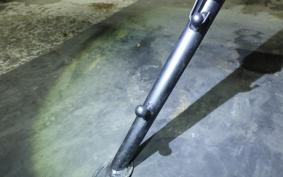 KAWASAKI NINJA 1000 SX 2024 ZXT02K