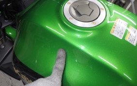 KAWASAKI ZRX1200 D 2013 ZRT20D