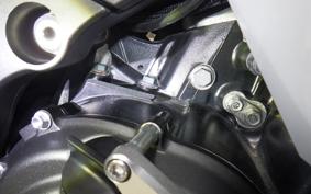 KAWASAKI ZX 1400 NINJA R A 2021