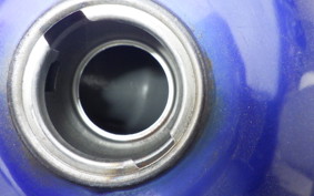 SUZUKI DJEBEL 250 XC SJ45A