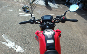 HONDA GROM JC61