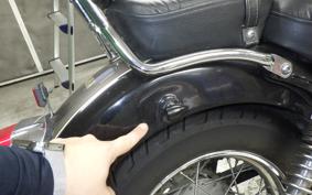 YAMAHA VIRAGO 250 2021 3DM