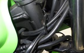KAWASAKI NINJA 250 ABS EX250L
