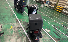 HONDA BENLY50 AA03