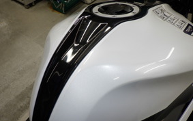 TRIUMPH DAYTONA 660 2024
