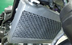 HONDA REBEL 250 A MC49