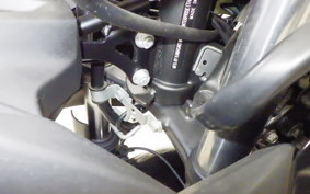 KAWASAKI NINJA 250 SL BX250A