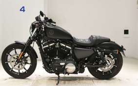 HARLEY XL883N 2021