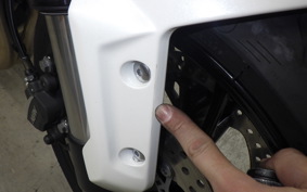 TRIUMPH TRIDENT 660 2022