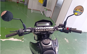 KAWASAKI KLX250 LX250S