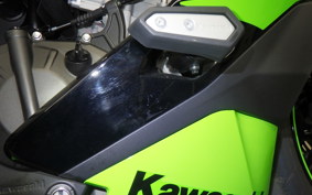 KAWASAKI ZX-4RR 2024 ZX400P