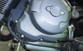 DUCATI MONSTER 696 + 2010