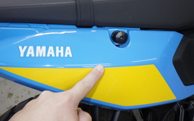 YAMAHA TENERE 700 2025 DM17J