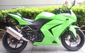 KAWASAKI NINJA 250R EX250K