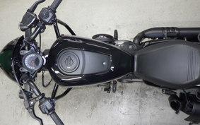 HARLEY RH975 2022
