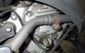 HONDA FORZA 1998 MF06