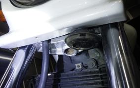 HONDA HORNET 250 1999 MC31