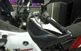 YAMAHA TENERE 700 2020 DM09J