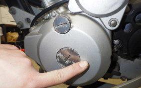 KAWASAKI KLX250D TRACKER X LX250V