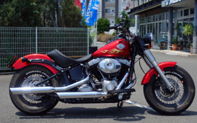 HARLEY FLS 2012 JR5