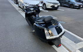 YAMAHA MAXAM 250 SG21J