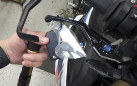 BMW S1000R M PACKAGE 2021