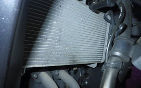 YAMAHA YZF-R25 A 2021 RG74J