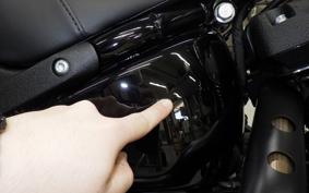 HARLEY FXLRST1920 2025